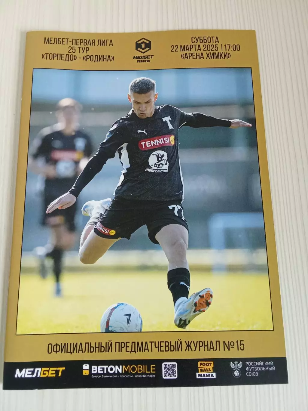 ФНЛ 2024-2025 Торпедо - Родина.