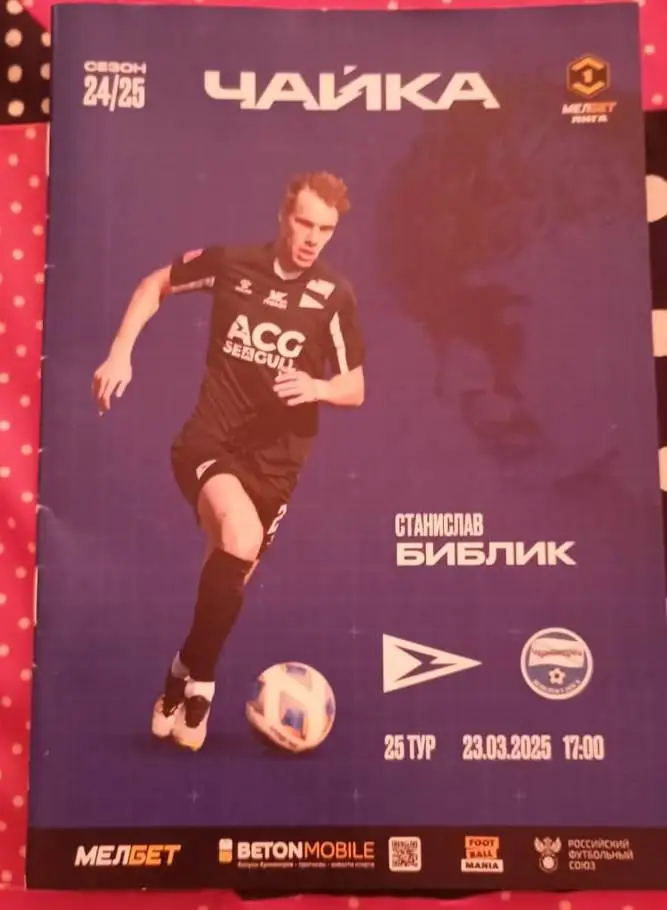 Чайка Песчанокопское - Черноморец Новороссийск 23.03.2025