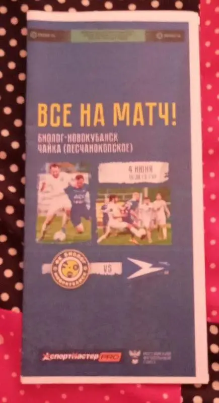 Биолог-Новокубанск - Чайка Песчанокопское 04.06.2023