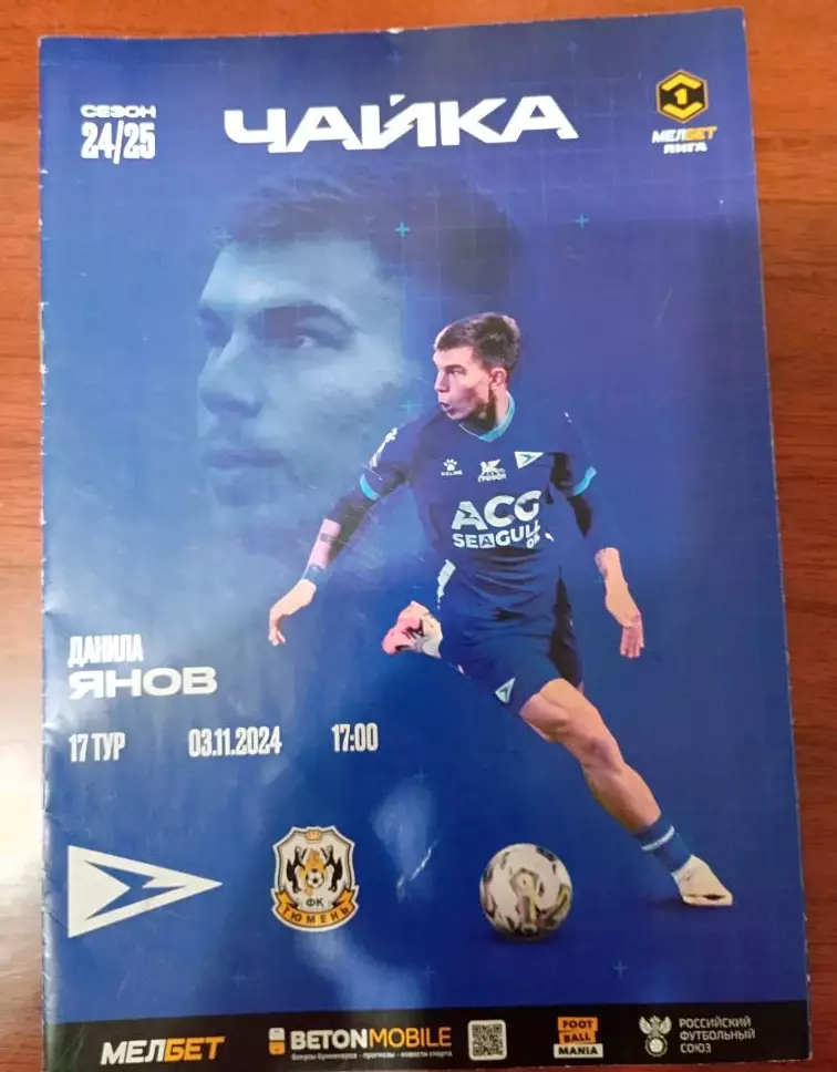 Чайка Песчанокопское - Тюмень 03.11.2024