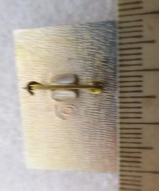 Факел-85(Воронеж) из редких 2