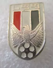 ФК федерация футболу Грузии