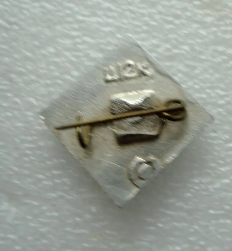 Динамо Киев болельщик 1