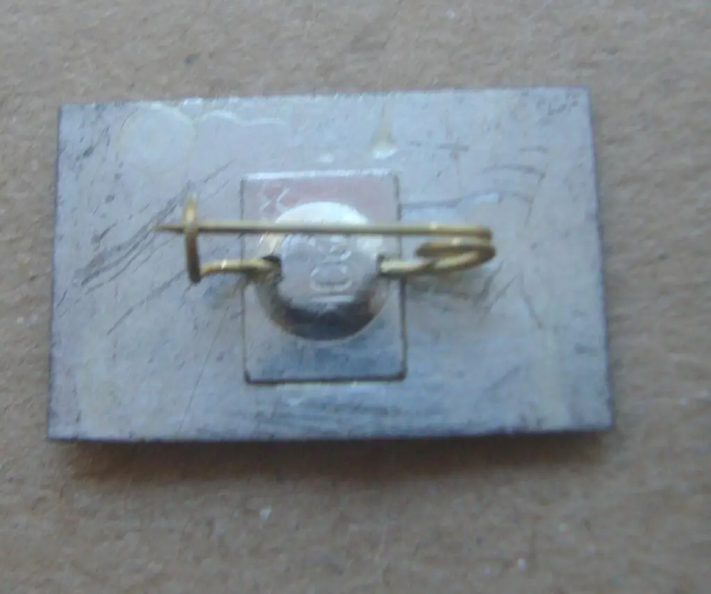 Динамо Киев - Динамо Москва1973, коричневый 1