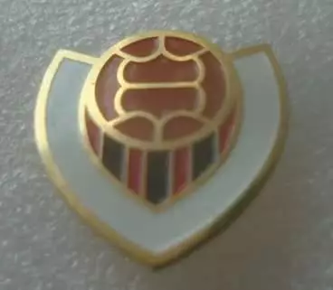 Vikingur FC Iceland 1