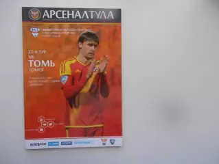 Арсенал Тула-Томь Томск 25 ноября 2015