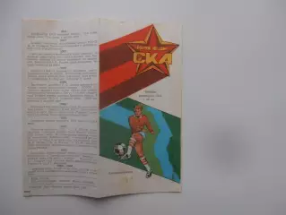 Команде СКА Ростов-50 лет