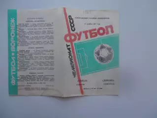 Факел Воронеж-Динамо Ставрополь 27 октября 1987 закрытие сезона