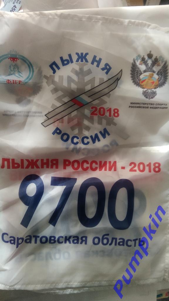 Номер с Лыжни России-2018 в Саратовской области