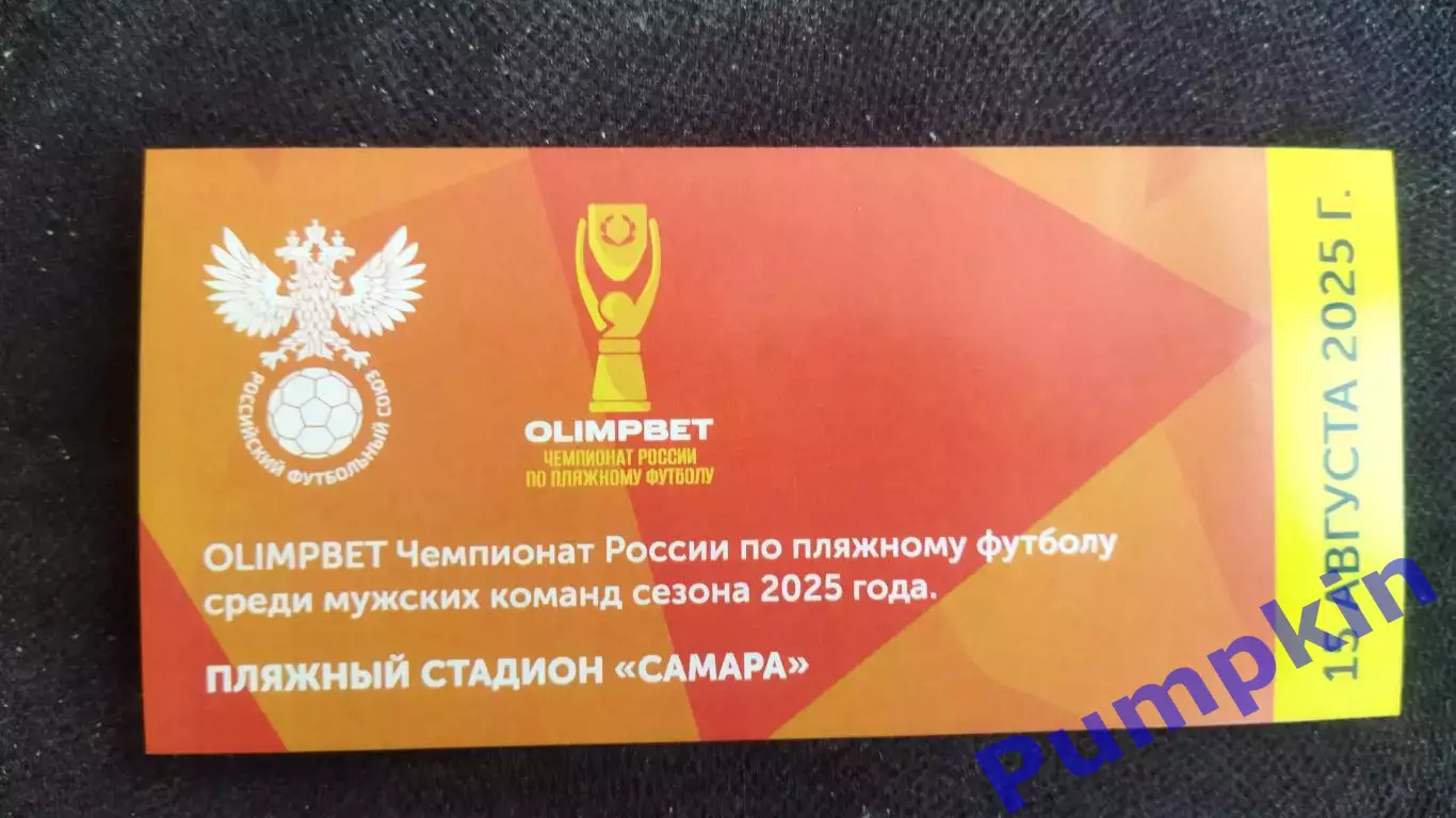 Билет. Пляжный футбол. Чемпионат России. Мужчины. Самара. 15 августа 2025 г.