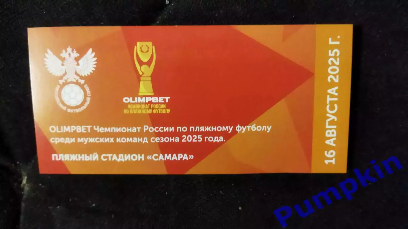 Билет. Пляжный футбол. Чемпионат России. Мужчины. Самара. 16 августа 2025 г.