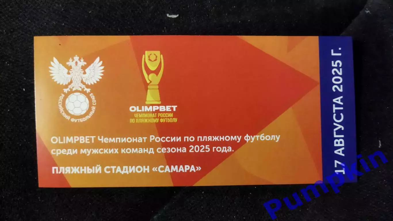 Билет. Пляжный футбол. Чемпионат России. Мужчины. Самара. 17 августа 2025 г.