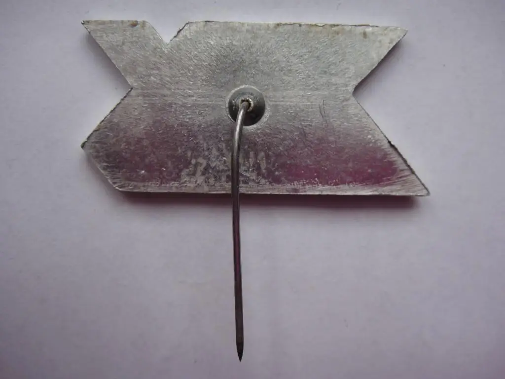 Знак ZHP SALUT ZWYCIESTWA ( Салют Победы) 2