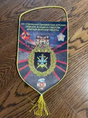 155 отдельная гвардейская бригада морской пехоты