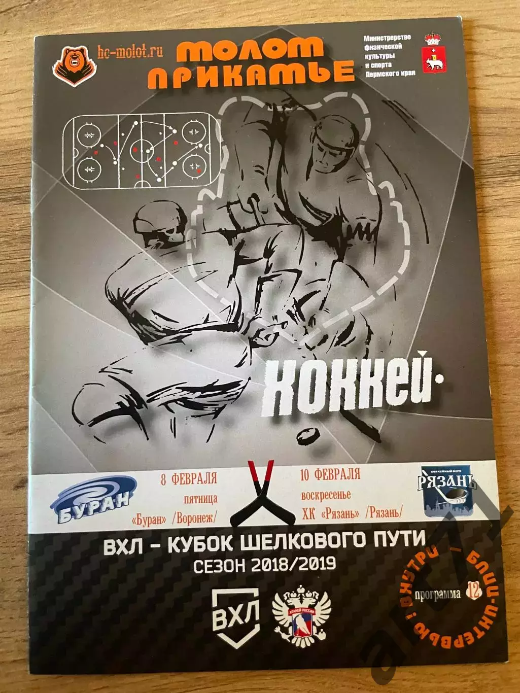 Молот Пермь - Буран Воронеж, Рязань 8,10.02.2019