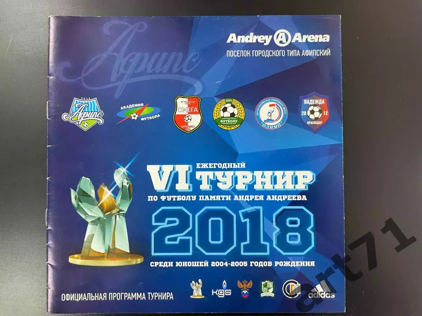 Турнир памяти Андрея Андреева среди юношей2018
