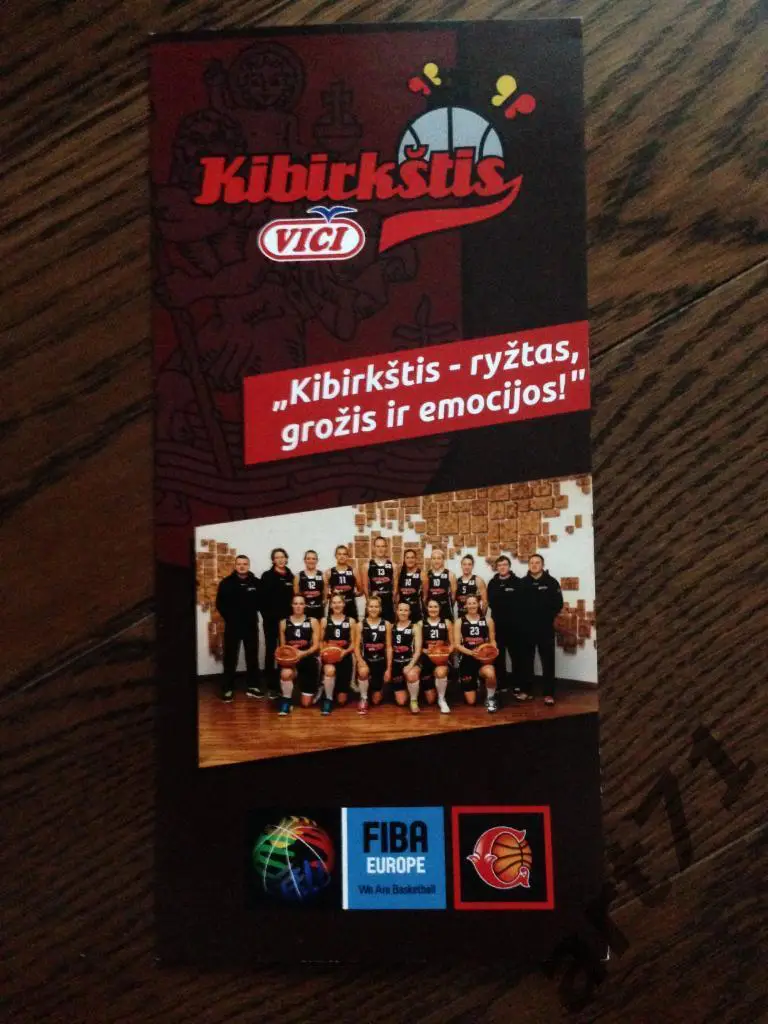 Кибиркштис Вильнюс, Литва - Спартак Видное, Московская область 2013 женщины