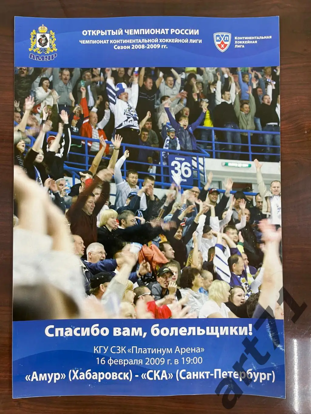 Амур Хабаровск - СКА Санкт-Петербург 2009 16.02.программа-постер