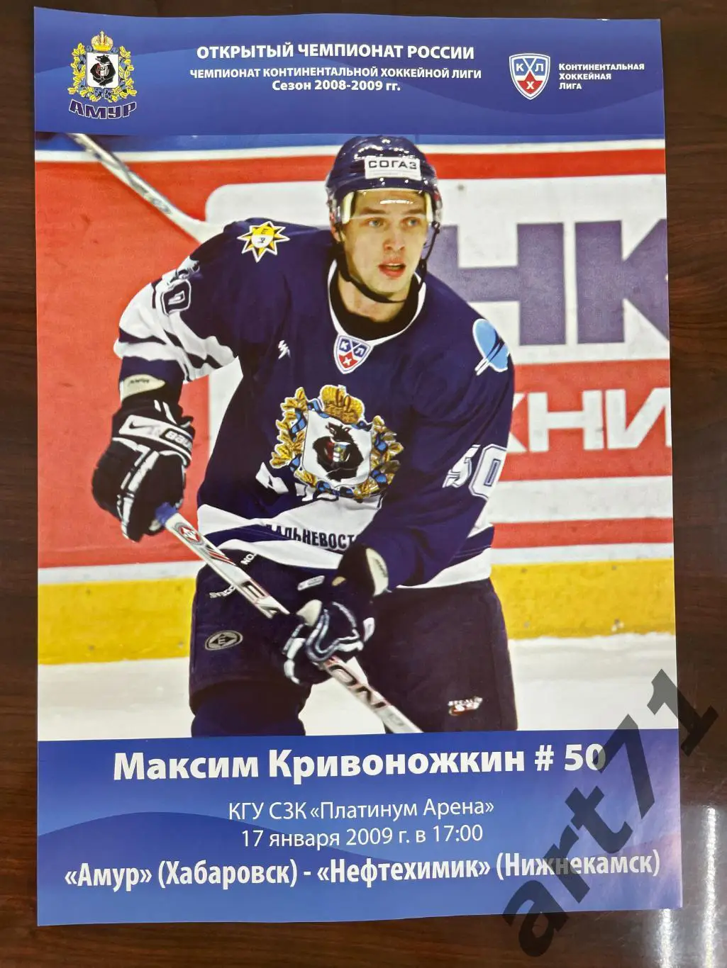 Амур Хабаровск - Нефтехимик Нижнекамск - 17.01. 2009 программа-постер