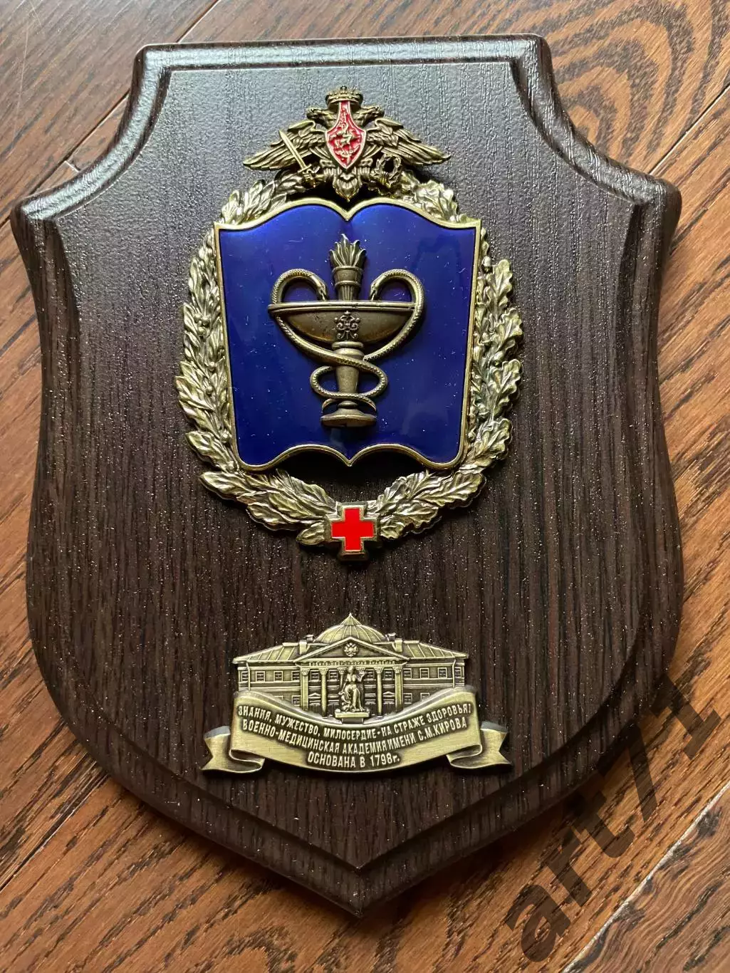 Военно-медицинская академия. Панно