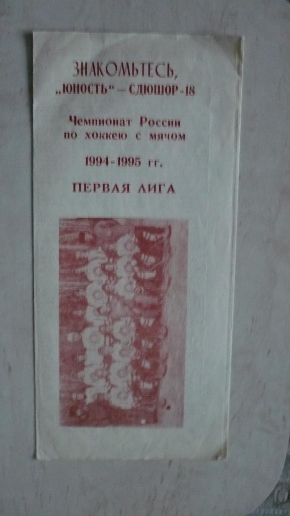 Хоккей с мячом, Омск, 1994-1995