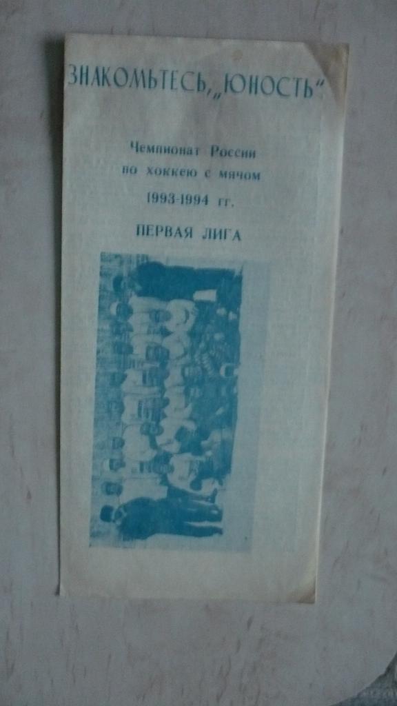 Хоккей с мячом, Омск, 1993-1994