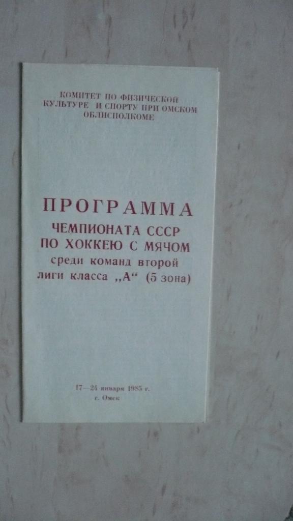 Хоккей с мячом, Омск, 2-я лига кл. А 1985