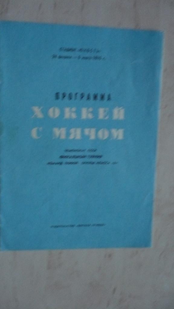 Хоккей с мячом, Омск, 1-я гр.кл. А 1976