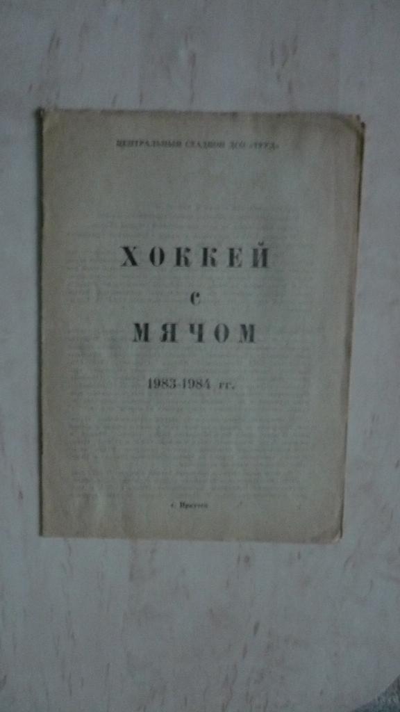 Хоккей с мячом, Иркутск, 1983-1984