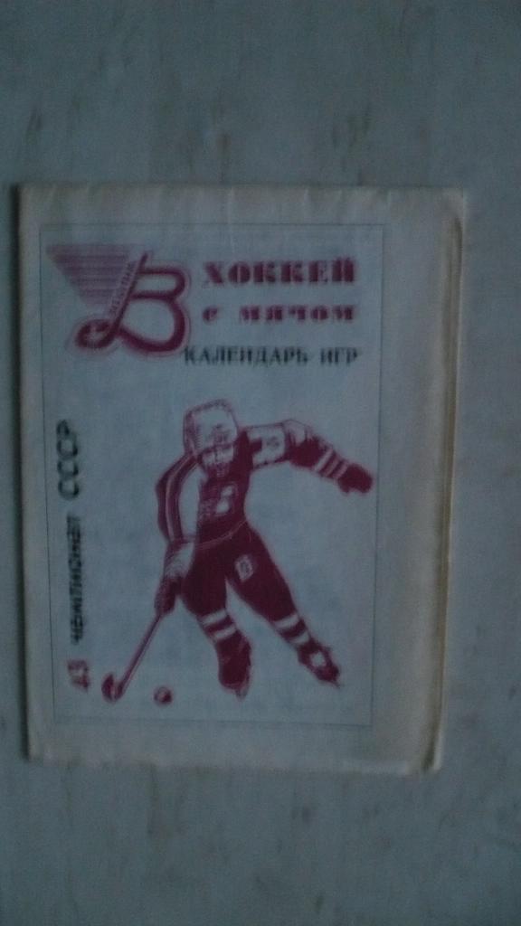 Хоккей с мячом Водник 1990-1991