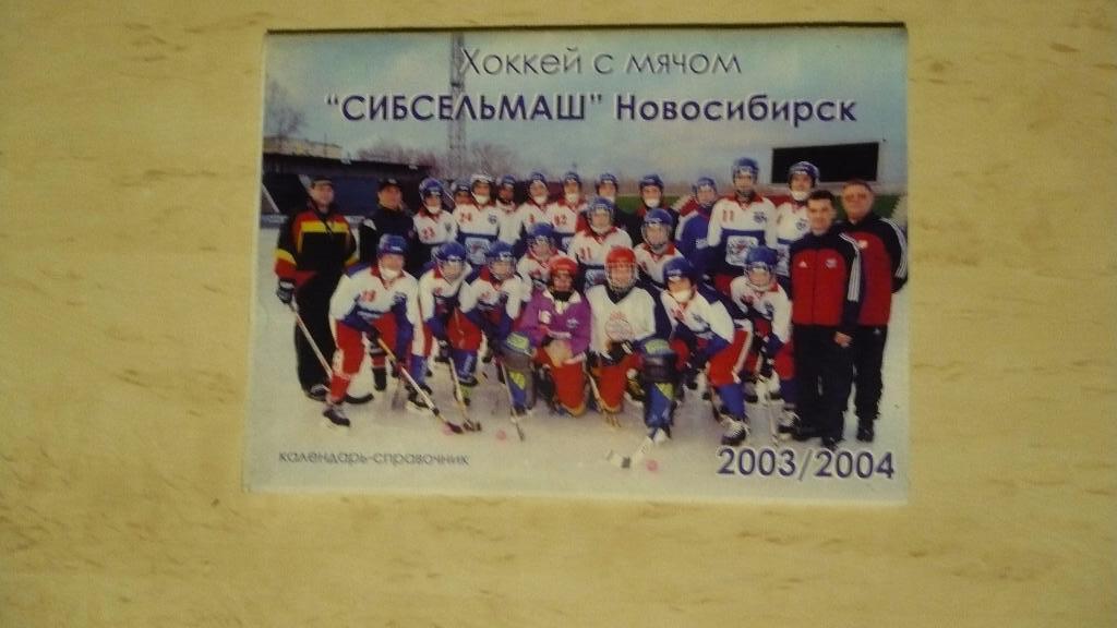 Хоккей с мячом Новосибирск 2003-2004