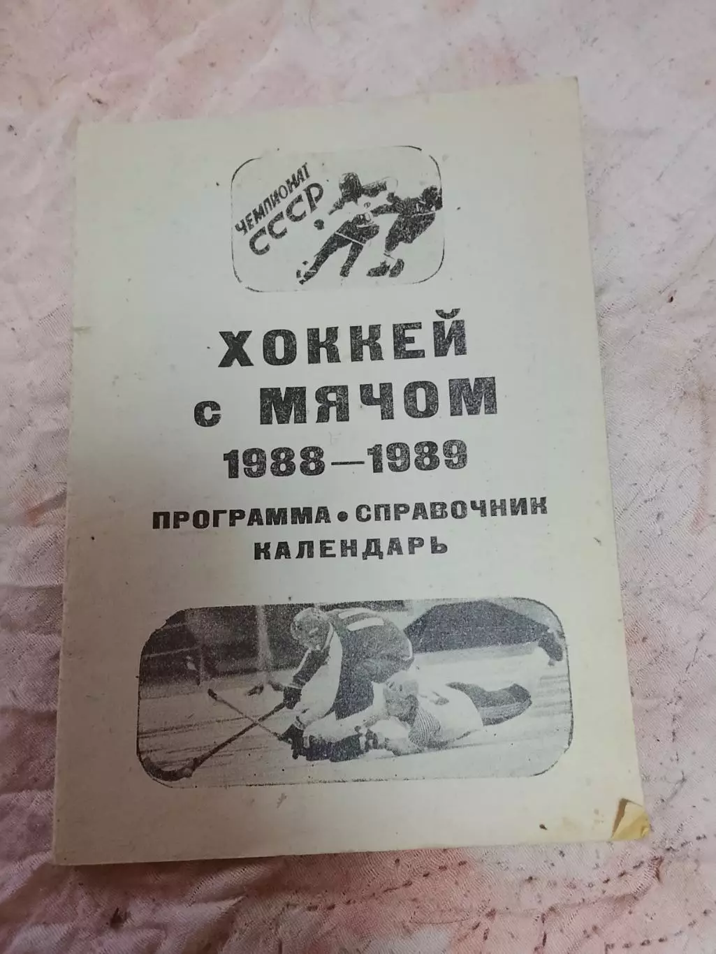 Хоккей с мячом, Вымпел (Калининград Московская область) 88/89