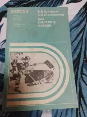 Как смотреть хоккей