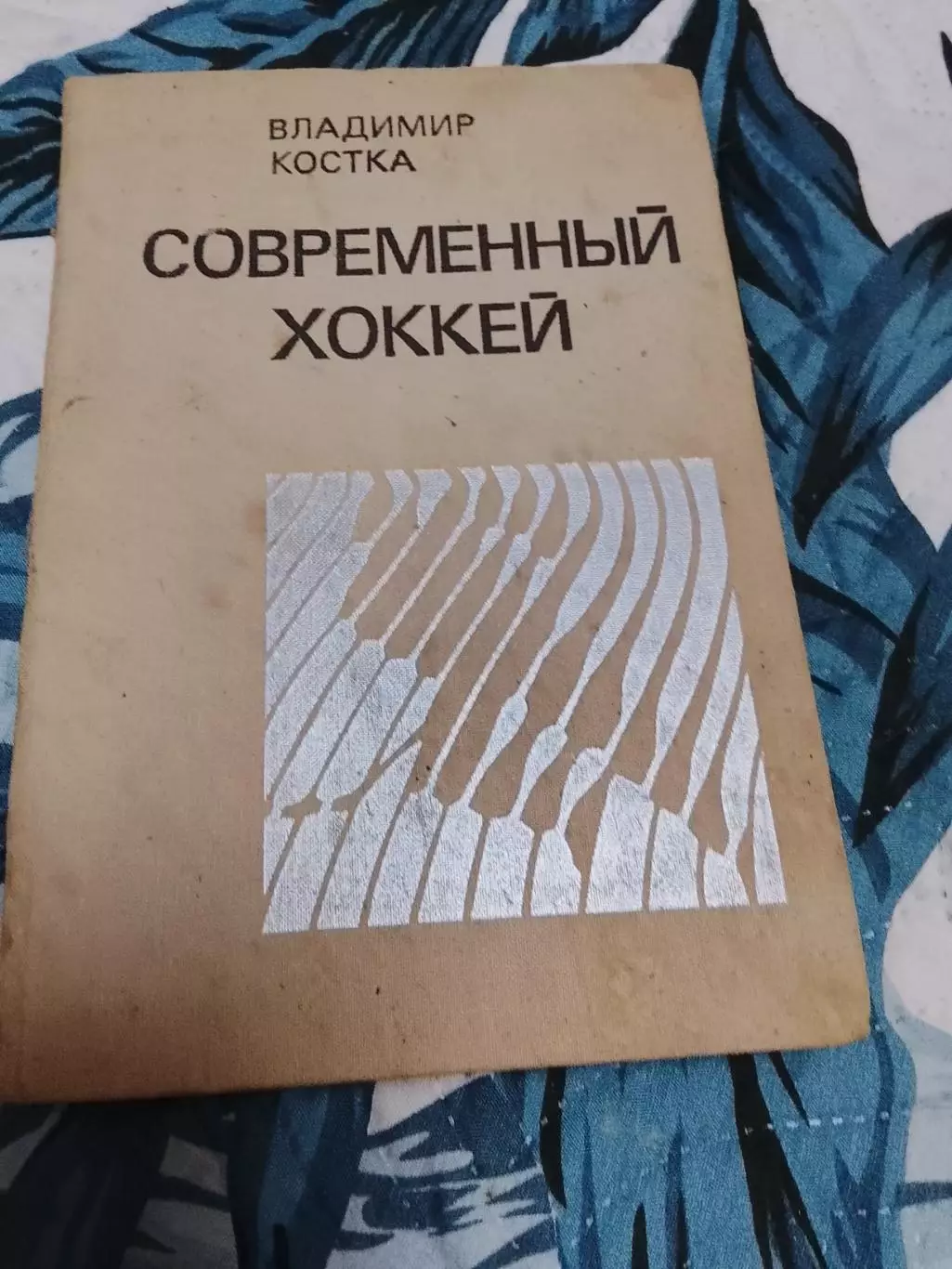 В.Костка,Современный хоккей