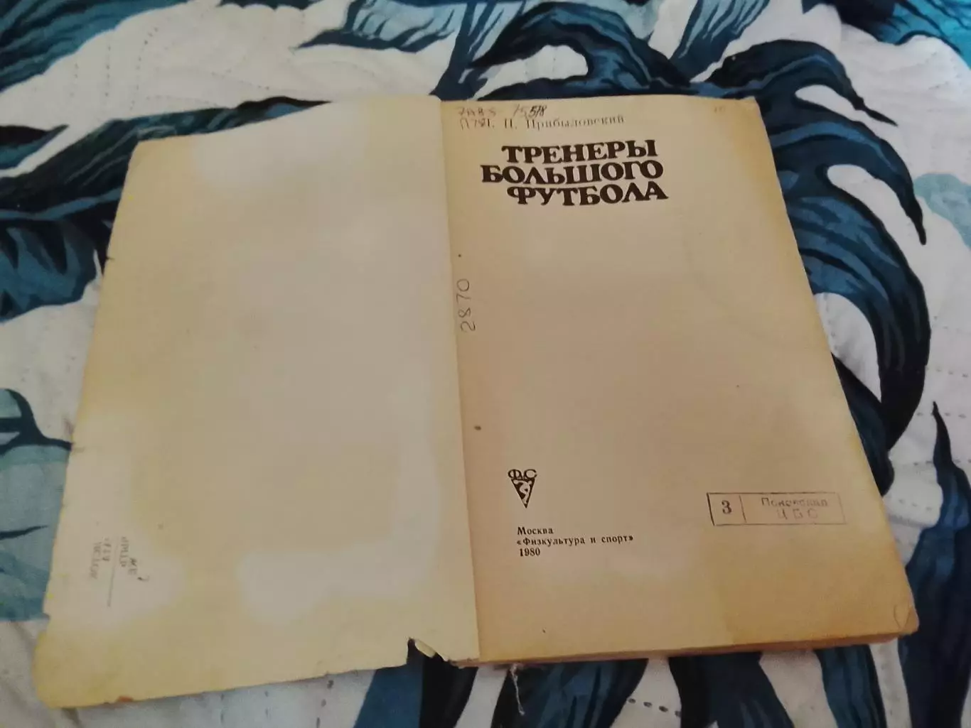 Л.Прибыловский, Тренеры большого футбола 1