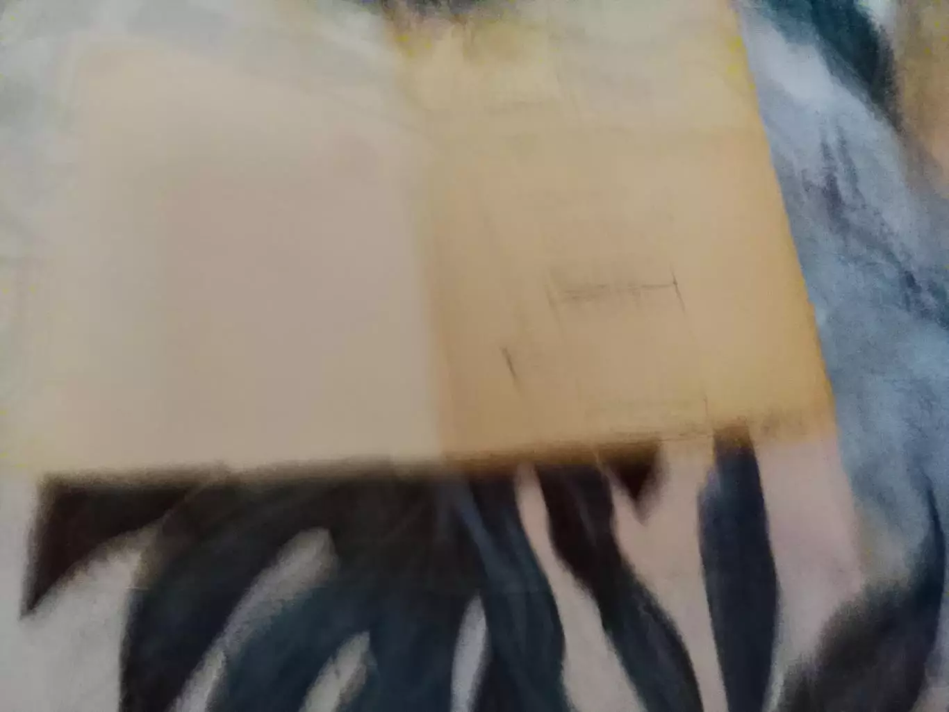 А.Акимов,Записки вратаря,1968 год 1