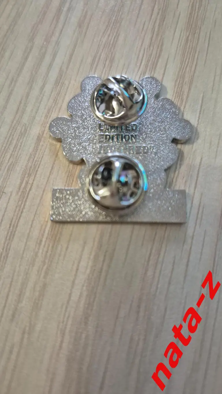 Значок Фестиваль молодежи Сочи 2017. РЖД. 2