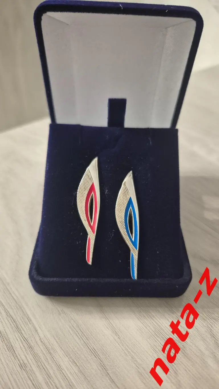 Набор значков Сочи 2014. Олимпийский Паралимпийский факел 1