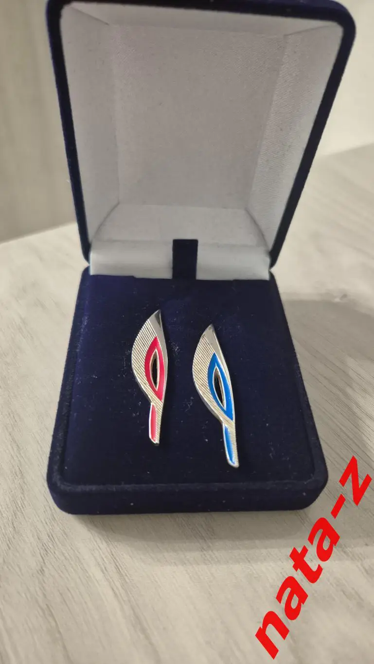 Набор значков Сочи 2014. Олимпийский Паралимпийский факел 4