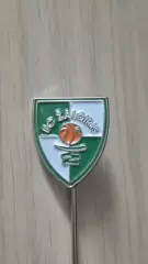 Значок баскетбольного клуба Жальгирис