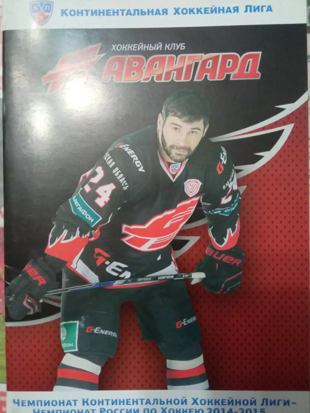 Авангард Омск - Сибирь Новосибирск, Металлург Новокузнецк 20/24.02.2015