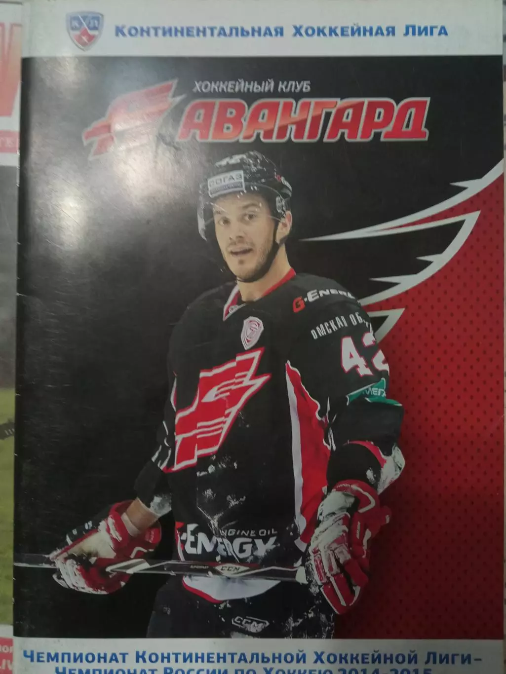 Авангард Омск - Салават Юлаев Уфа, Адмирал Владивосток 28.11 и 01.12.2014