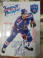СКА Санкт-Петербург - Северсталь Череповец 11.02.2019
