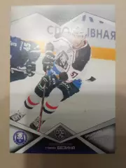 Горан Безина 2016-2017