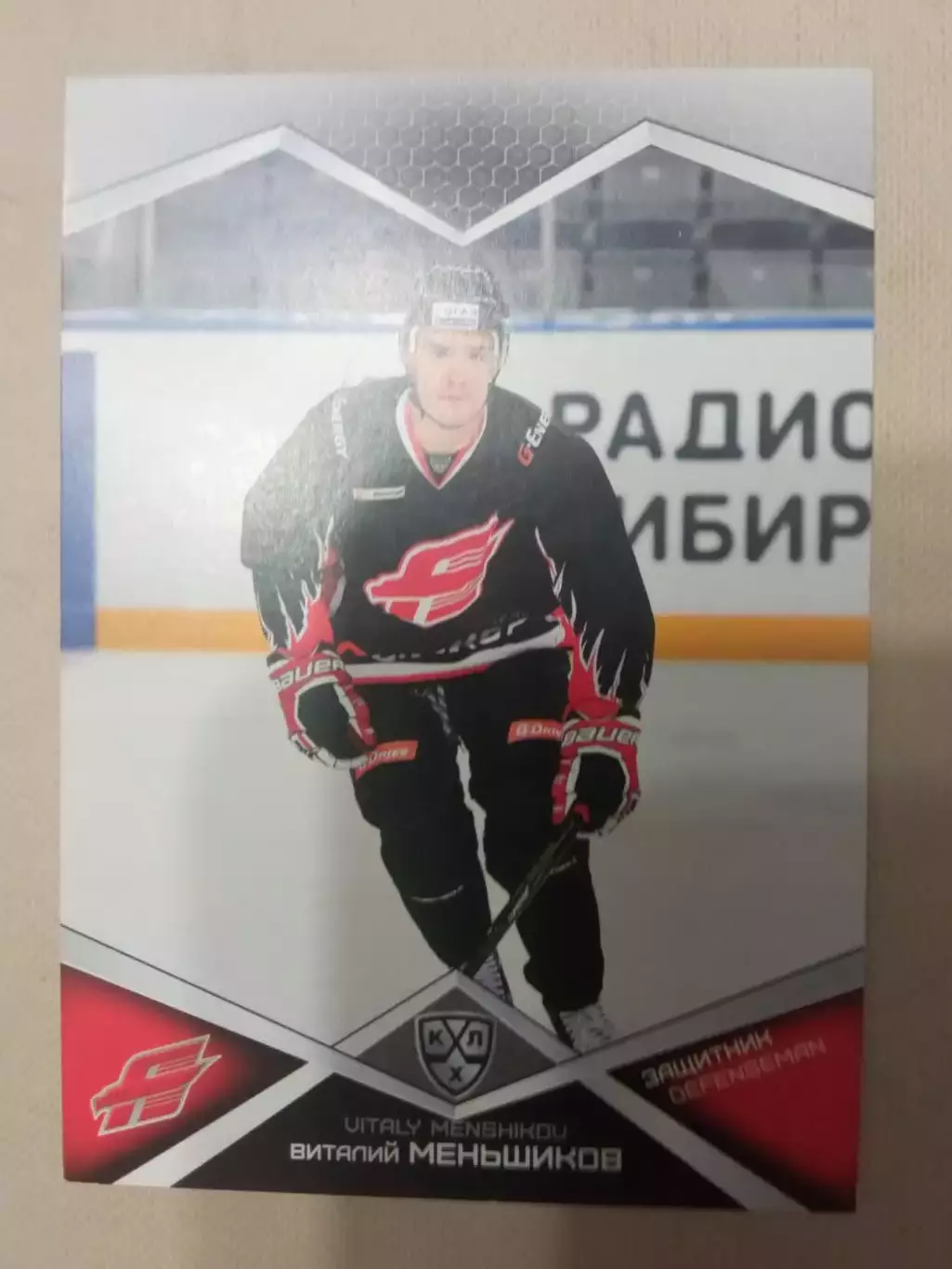 Виталий Меньшиков 2016-2017