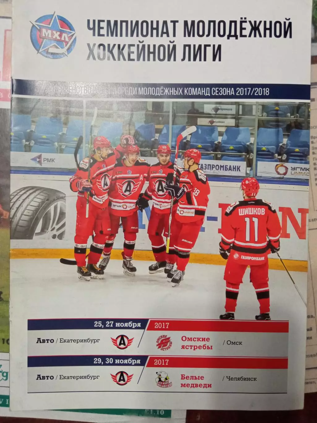 МХЛ Авто - Омские ястребы, Белые медведи 25/27/29/30.11.2017