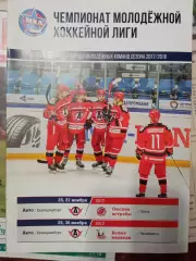 МХЛ Авто - Омские ястребы, Белые медведи 25/27/29/30.11.2017