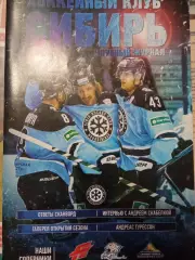 Сибирь - Авангард, Барыс, Салават Юлаев 2014