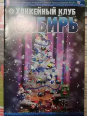 Сибирь - Адмирал, Амур, Авангард 2014