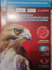 Авангард Омск - АК Барс Казань, Автомобилист 21/23.01.2011